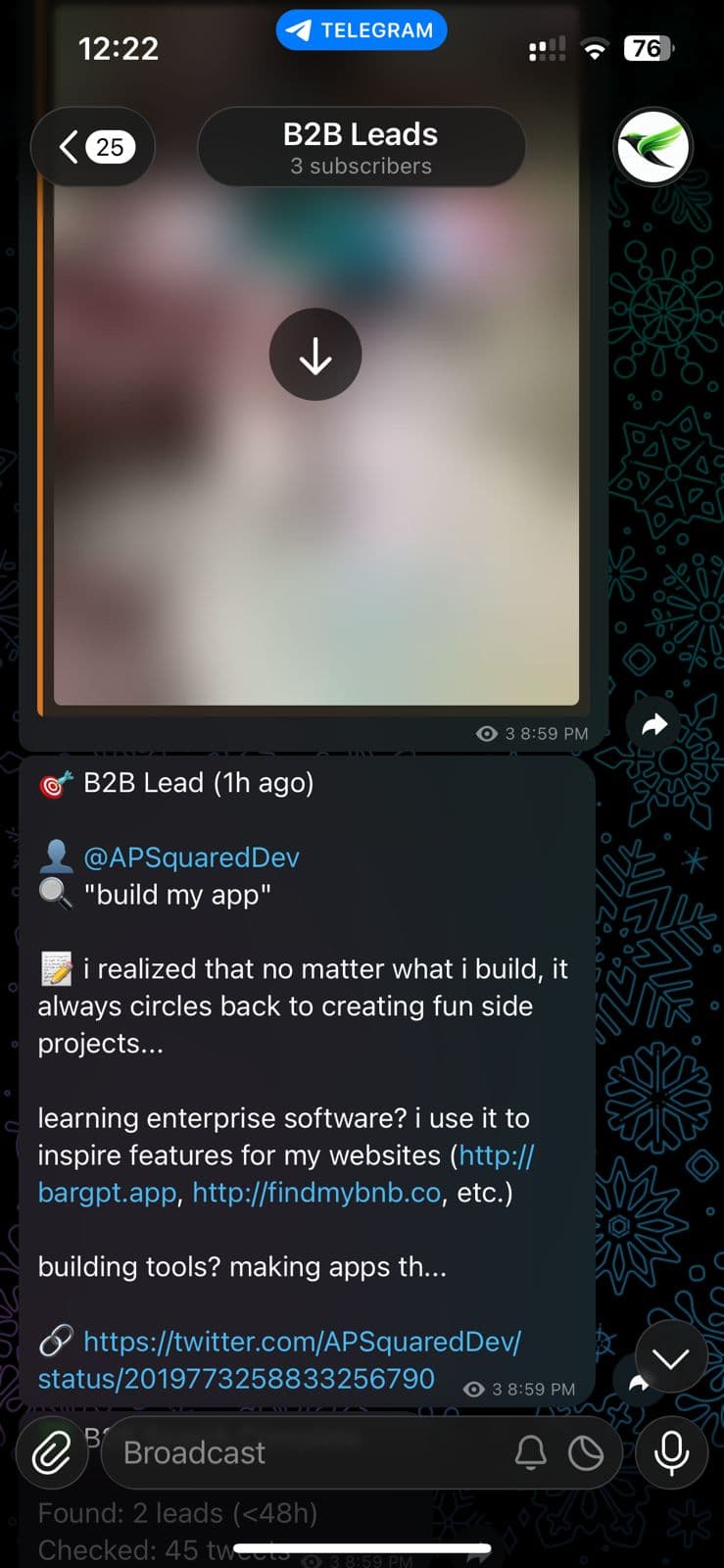 B2B Leads screenshot